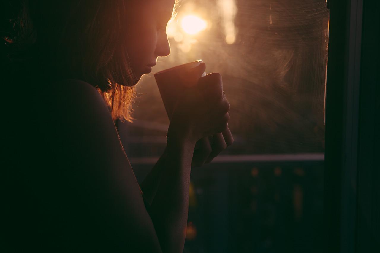 Yerba Mate in bags – comparison