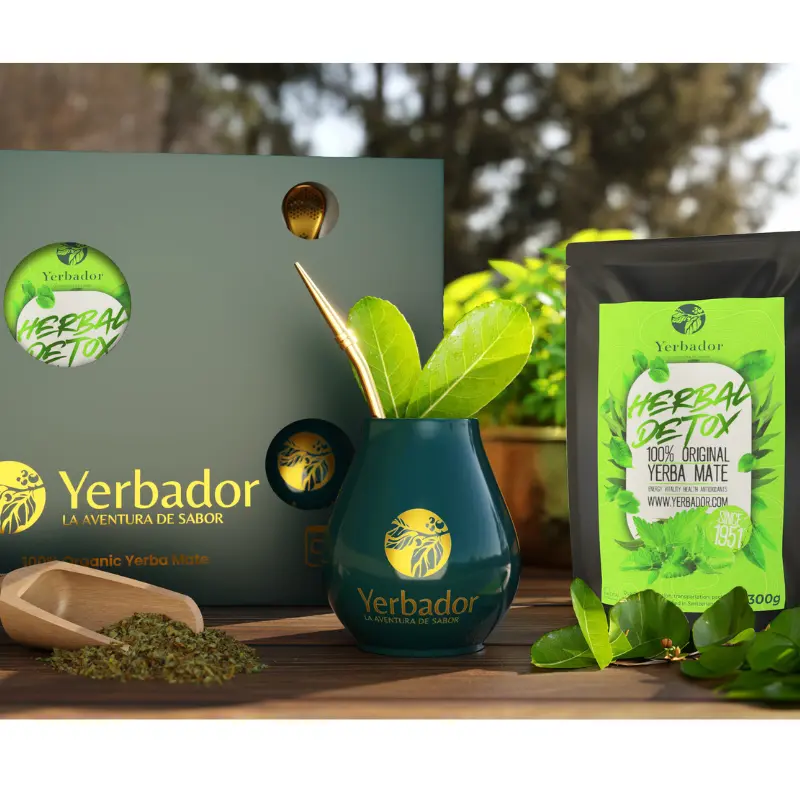 Yerba mate starter set with bombilla and matero for the office