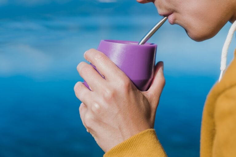 yerba mate energy and vitality