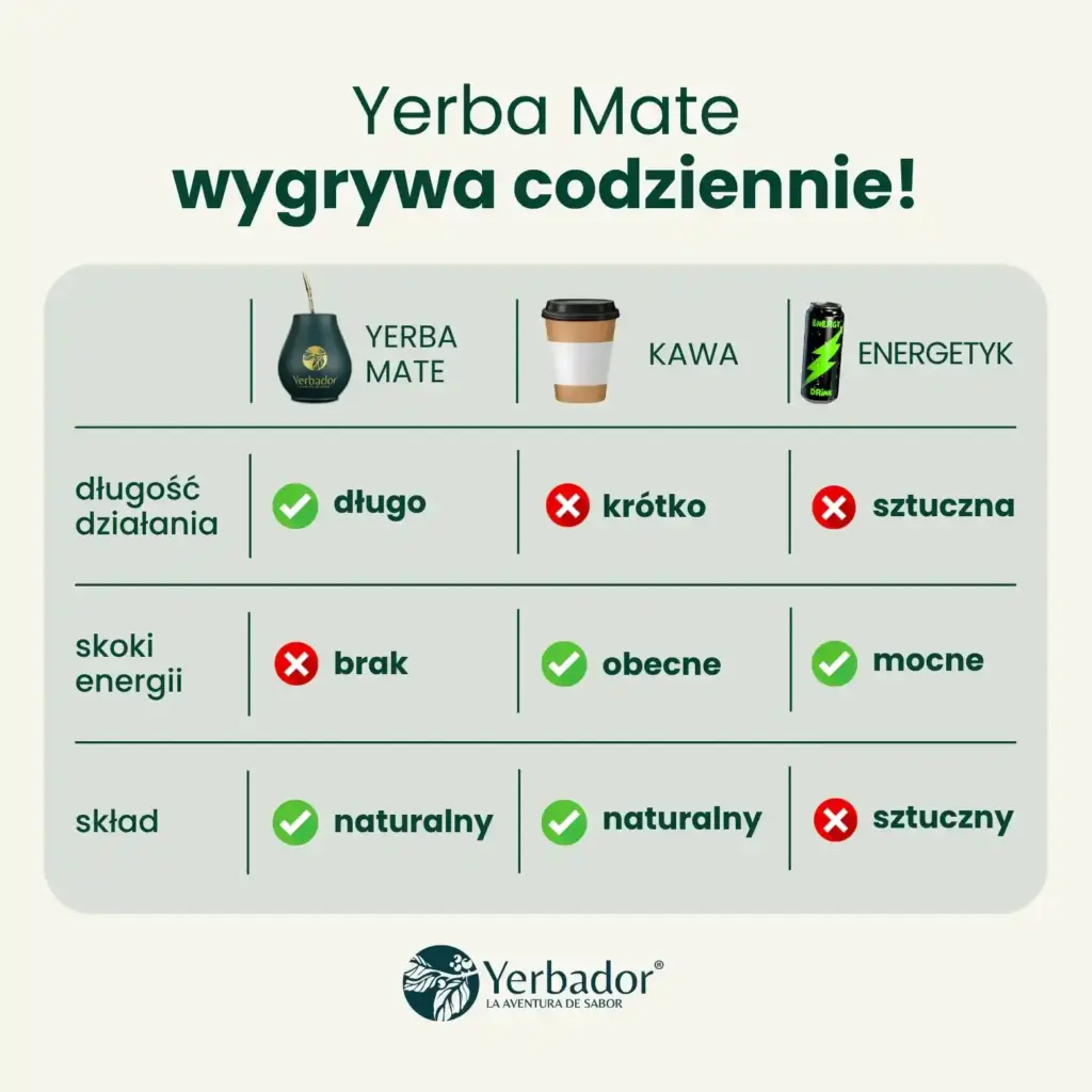 Matero with yerba mate – how caffeine from yerba affects the body