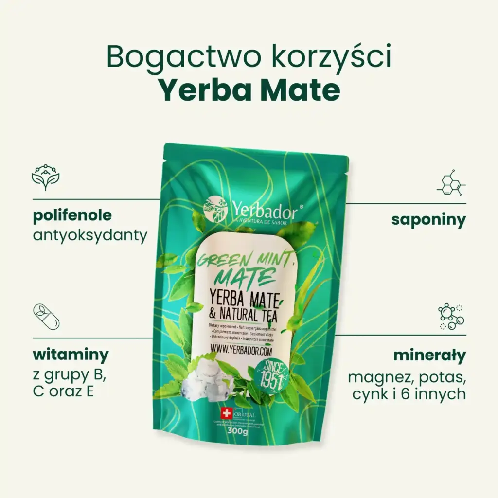 How much yerba mate per day – Yerba Mate Dosage – How Many Times a Day Should You Drink It for the Best Effect?