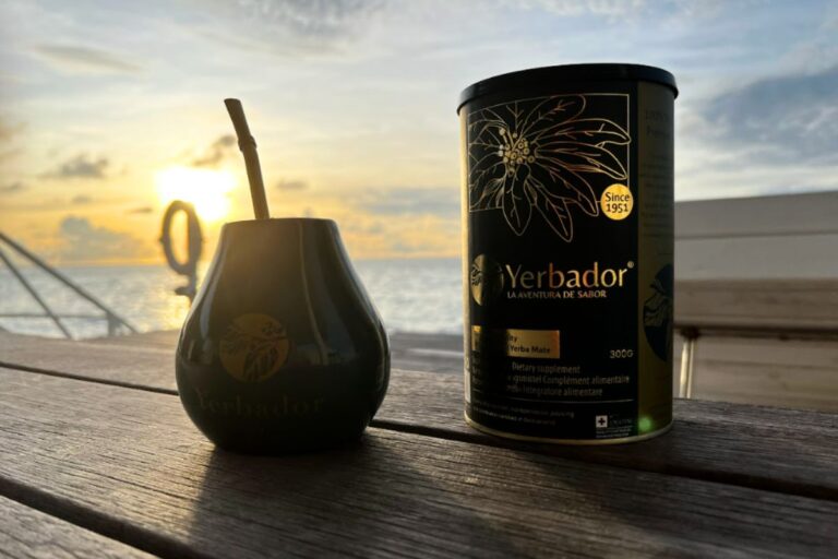 yerba mate on the go