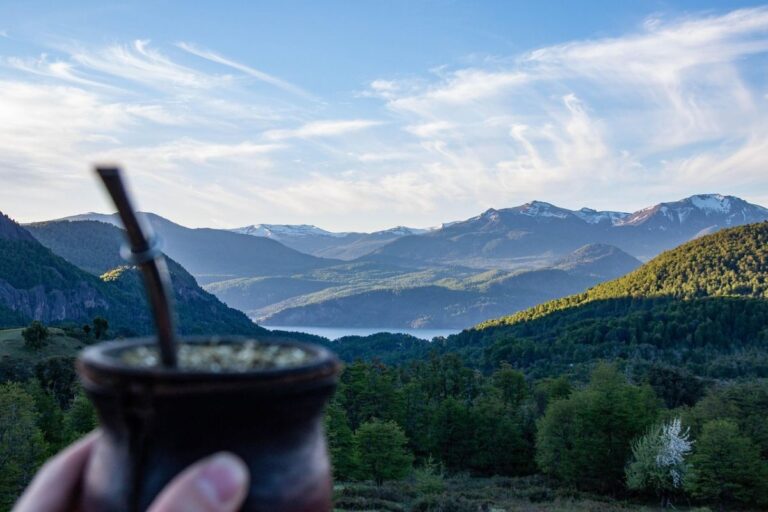 yerba mate on the go