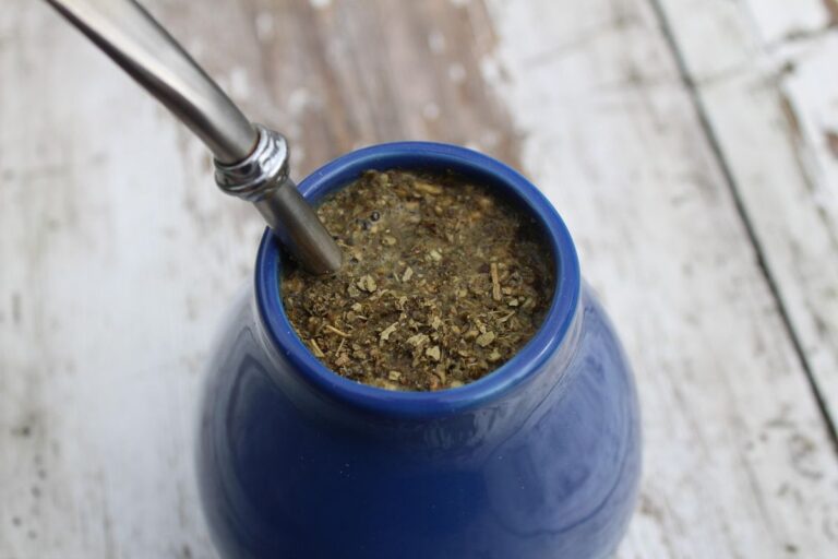 Yerba Mate and Digestion and the Nervous System – How Does the Infusion Affect the Body?