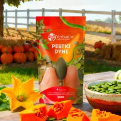 Shelled Yerbador pumpkin seeds - natural source of magnesium, iron and zinc