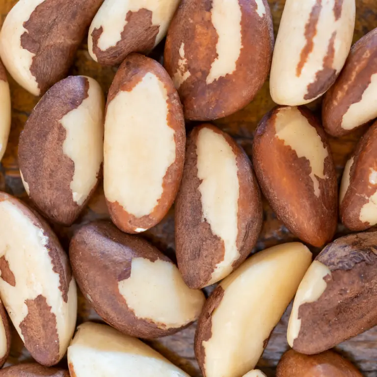 Brazil nuts on a table – close-up texture