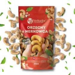 Cashew nuts – Yerbador