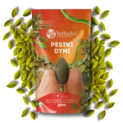Shelled pumpkin seeds – Yerbador