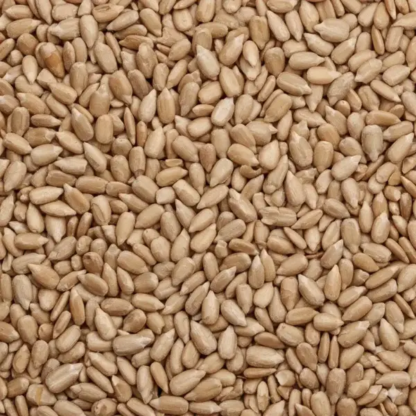 Graines de Tournesol – 100 g – Riches en Magnésium et Fibres — inspiration et suggestion de dégustation