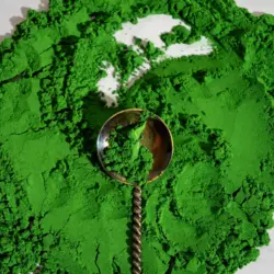 chlorella (2)