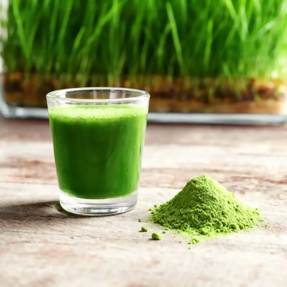 Young green barley powder – Yerbador Young green barley powder – Yerbador