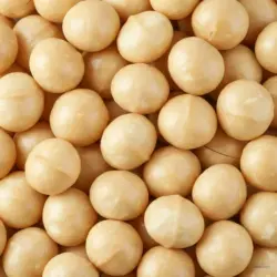 Macadamia nuts – Yerbador