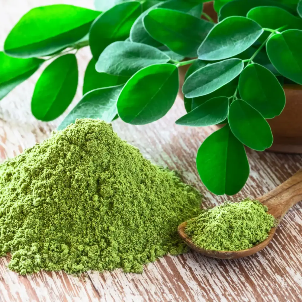 moringa (2) moringa (2)