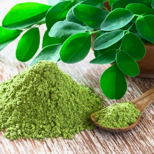 Moringa v prášku — inspirace pro každodenní rituál