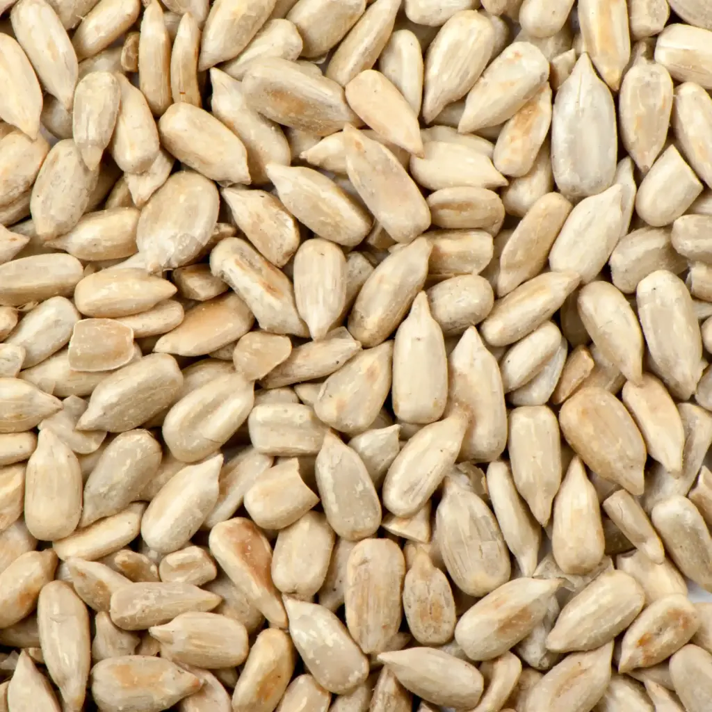 Close-up of shelled sunflower seeds – creamy kernels without husks