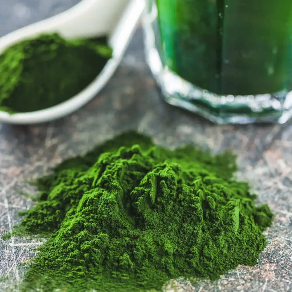 spirulina (2) spirulina (2)