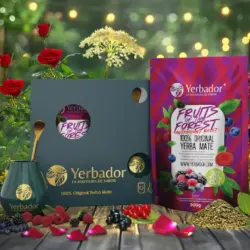 Yerba Mate Forest Fruits gift set with matero and bombilla