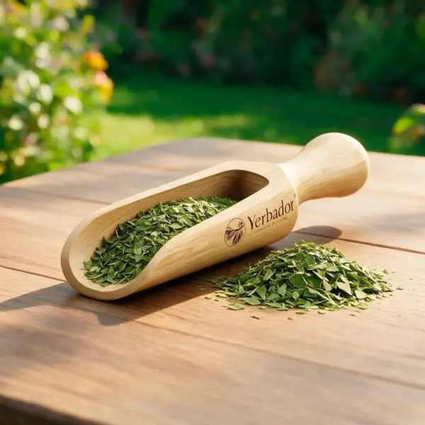 Fine Yerba Mate scoop made of beech wood