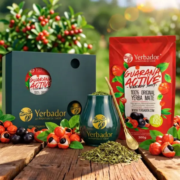 STARTER SET – BOMBILLA + MATERO + YERBA MATE ULTRA ENERGY – GUARANA