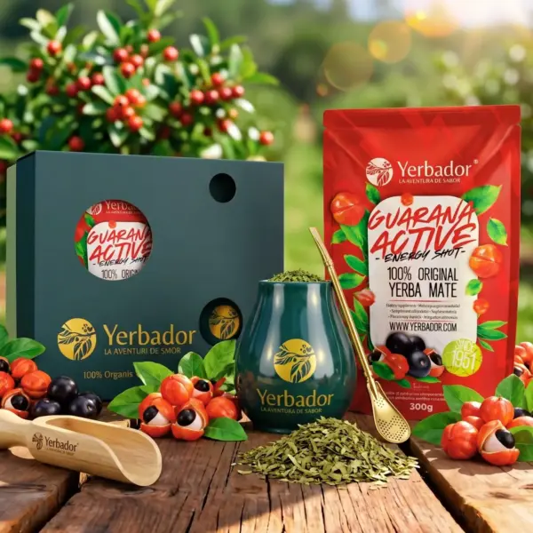STARTER SET – BOMBILLA + MATERO + YERBA MATE ULTRA ENERGY – GUARANA + BEECH SCOOP